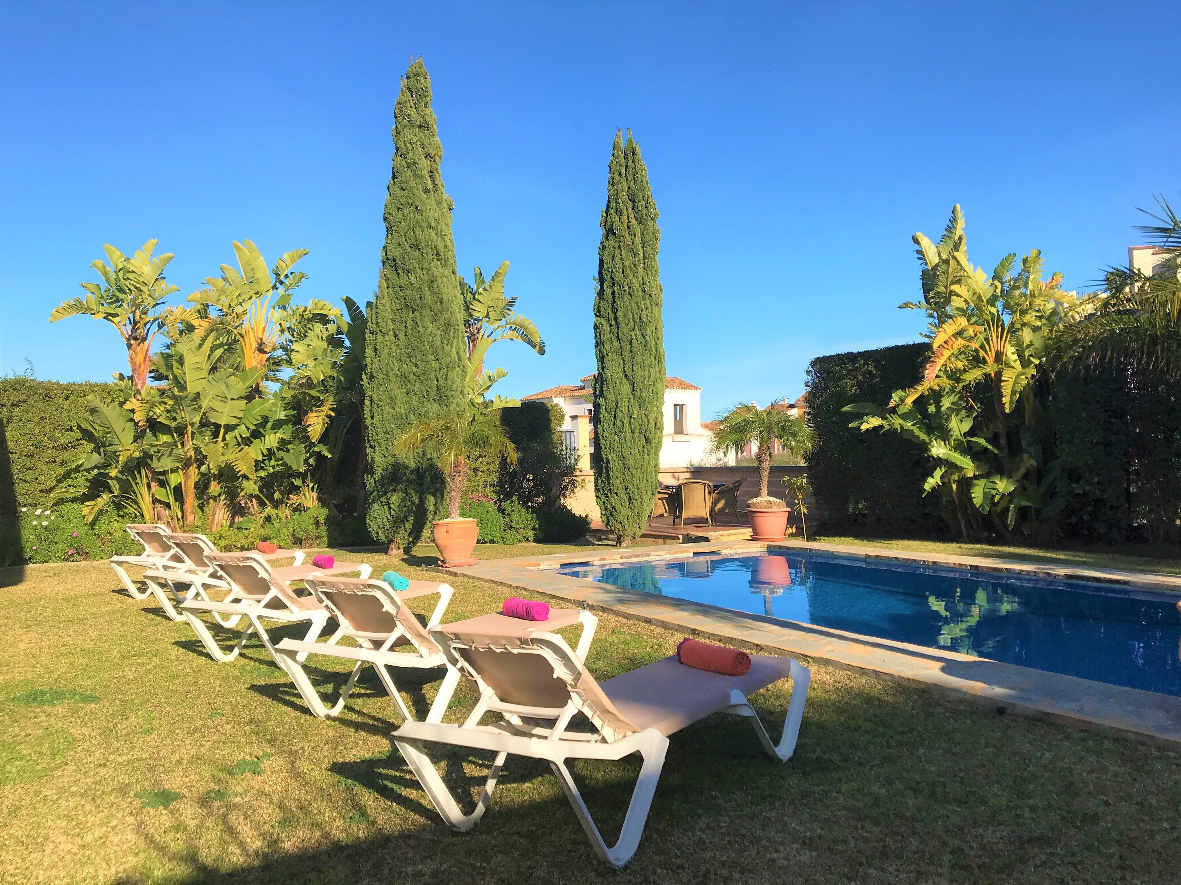 Zona de piscina con sillas de descanso, una piscina y altos árboles.