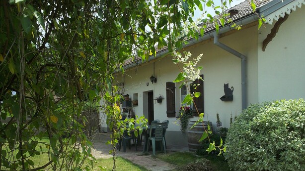Una casa con veranda, posti a sedere all'aperto e un giardino.