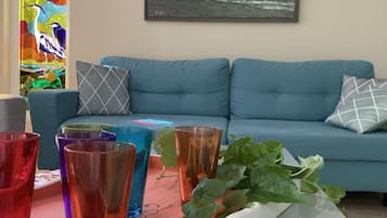 Télévision, cheminée, lecteur de DVD, livres