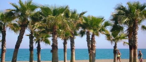 Una spiaggia nelle vicinanze