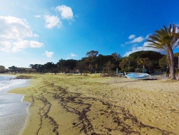 A beach with a boat, palm trees, and a clear sky.
