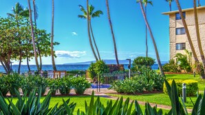 A resort with a pool, palm trees, and a view of the ocean.