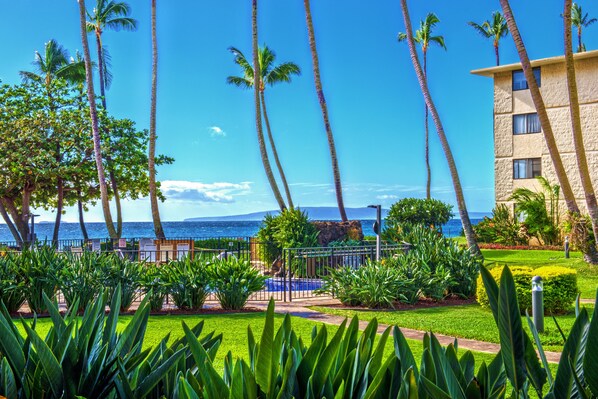 Un resort con piscina, palmeras y vista al océano.