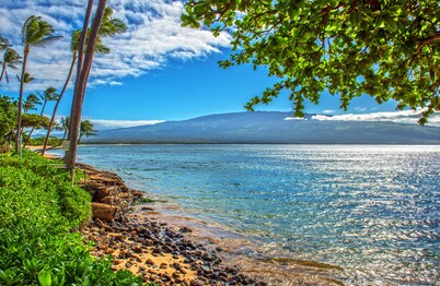 Beachfront condo in Maalaea - 2 Bedroom 2 Bath - Ground floor, AC!!!