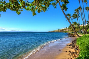 Una playa con agua azul cristalina, arena dorada y palmeras.