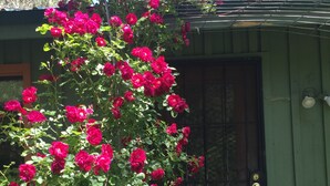 A green building with a window and a door. - Red rock canyon views! Private. Everything you need. Artist touches abound (Sedona)