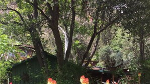 A garden with tall plants and a small building in the background. - Red rock canyon views! Private. Everything you need. Artist touches abound (Sedona)