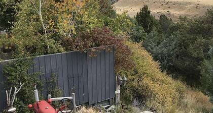 Navetta Yellowstonen kansallispuiston pankeilla