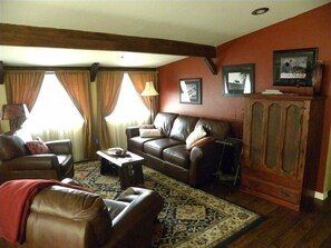 Televisión, chimenea, reproductor de DVD y libros 