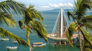 A cable-stayed bridge over a body of water, surrounded by palm trees.