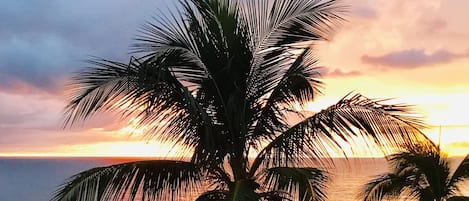 På stranden och strandhanddukar