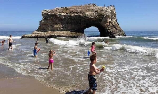 Beach - Serenity at Natural Bridges  - 5 min Walk to Beach (Santa Cruz)