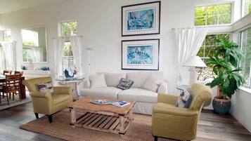 Télévision, cheminée, livres, espaces bureaux