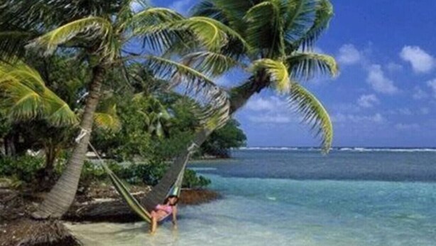 Une scène de plage avec une eau turquoise et limpide, un hamac suspendu entre des palmiers, et une personne se détendant.