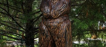 Bear House 1890, Lilly's Loft, Delightful, Upgraded amenities, Walk to Cafes