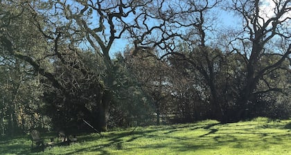 Sonoma Wine Lovers Getaway - A Pleasant Stroll to the Sonoma Plaza