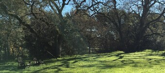 Sonoma Wine Lovers Getaway - A Pleasant Stroll to the Sonoma Plaza