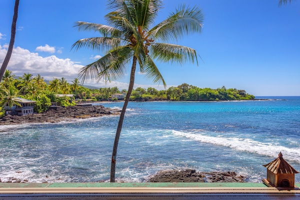 施設からの眺望