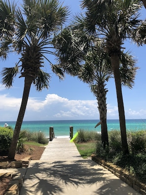 A pathway leading to a beach with palm trees and a clear view of the ocean.