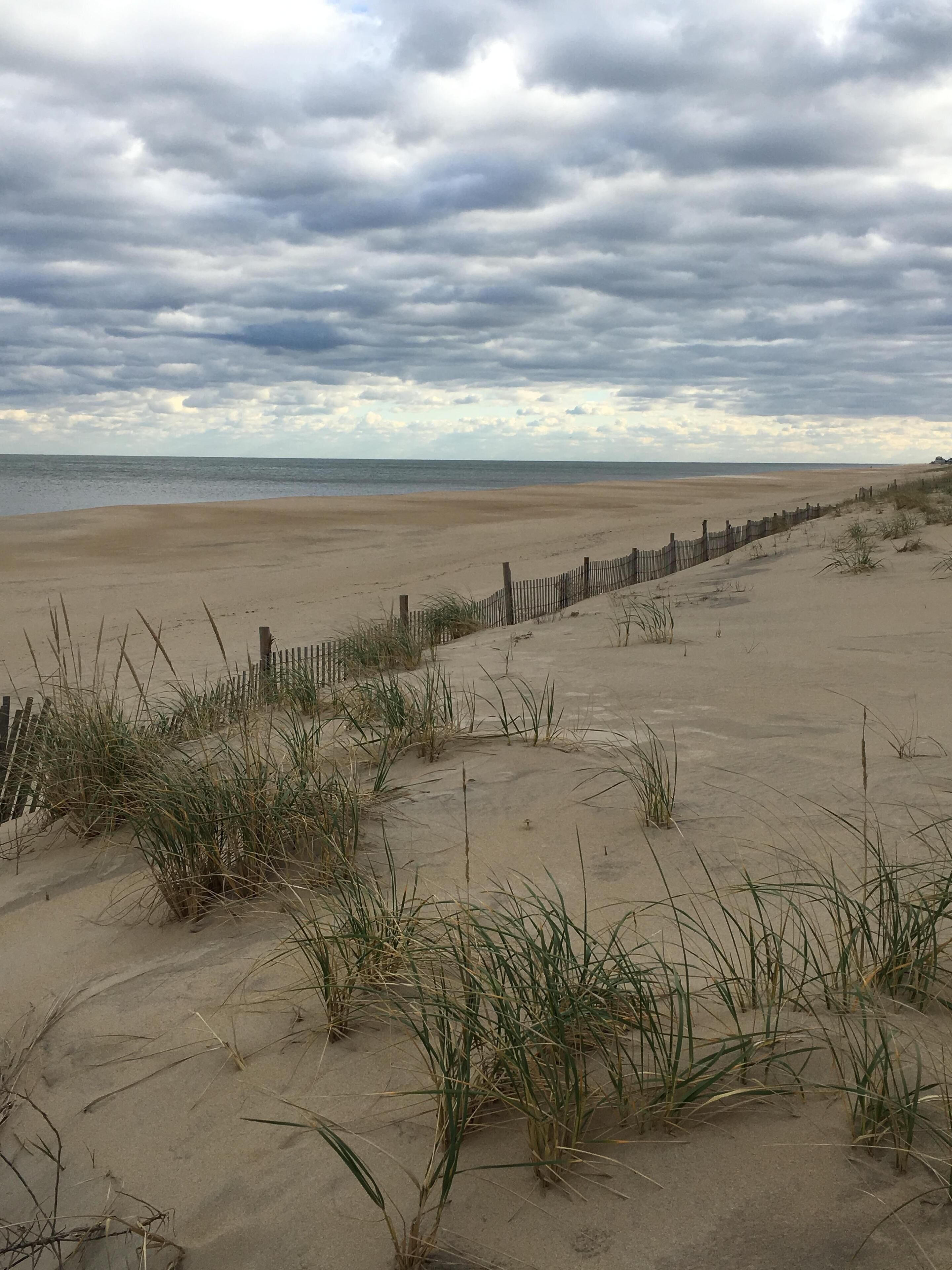 On the beach, sun-loungers