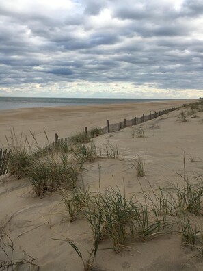 Sur la plage, chaise longue