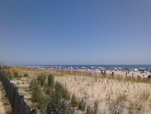 On the beach, sun-loungers