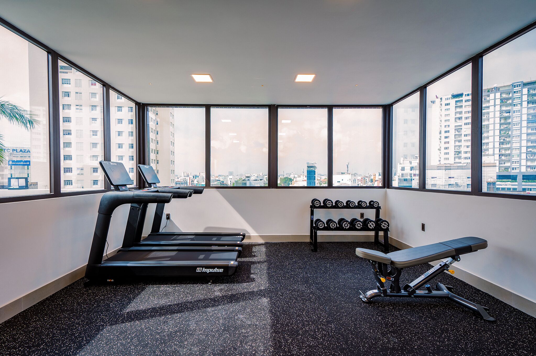 A gym with treadmills, dumbbells, and a bench.