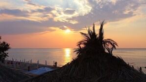 A beach scene with a sunset, palm trees, and a person standing by the water.