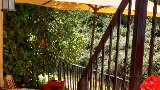 Ein Patio mit Tisch und Stühlen, einem gelben Sonnenschirm und Kübelpflanzen.