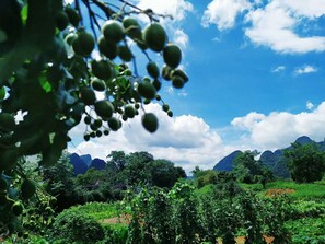 Exterior - Yangshuo Coco Garden Hotel (Guilin)
