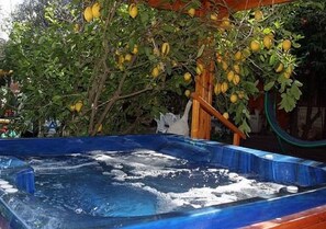 Outdoor spa tub - Hadar Bakfar (Yesod HaMa'ala)