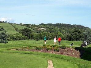 Golf - Faithlegg Lodge (Faithlegg)