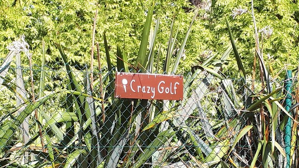 A sign labeled "Crazy Golf" amidst a dense, green, leafy background. - Faithlegg Lodge (Faithlegg)