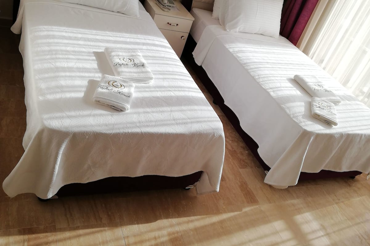 Chambre avec lits jumeaux, vue montagne | Vue de la chambre
