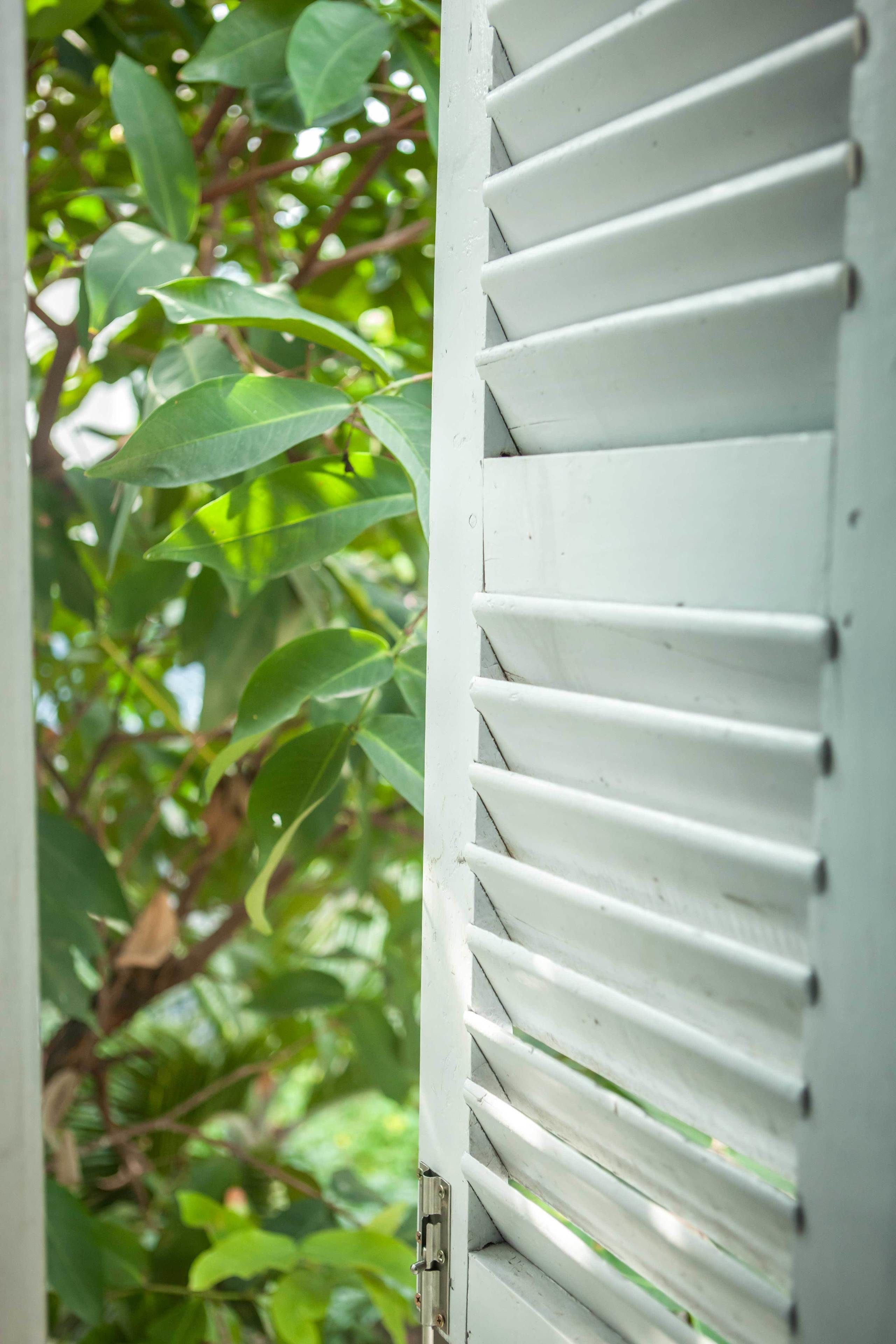 Una ventana con persianas blancas entreabiertas, mostrando follaje verde al exterior.