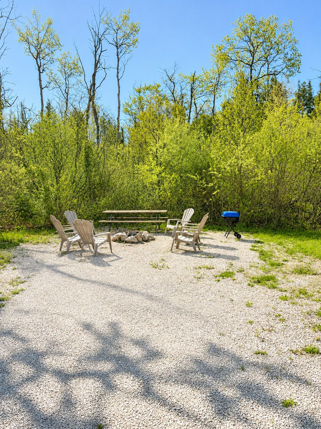 Un espace extérieur aménagé avec des chaises Adirondack et une table de pique-nique, entouré de gravier, avec un barbecue bleu et une végétation luxuriante en arrière-plan.