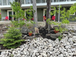 Terraza o patio