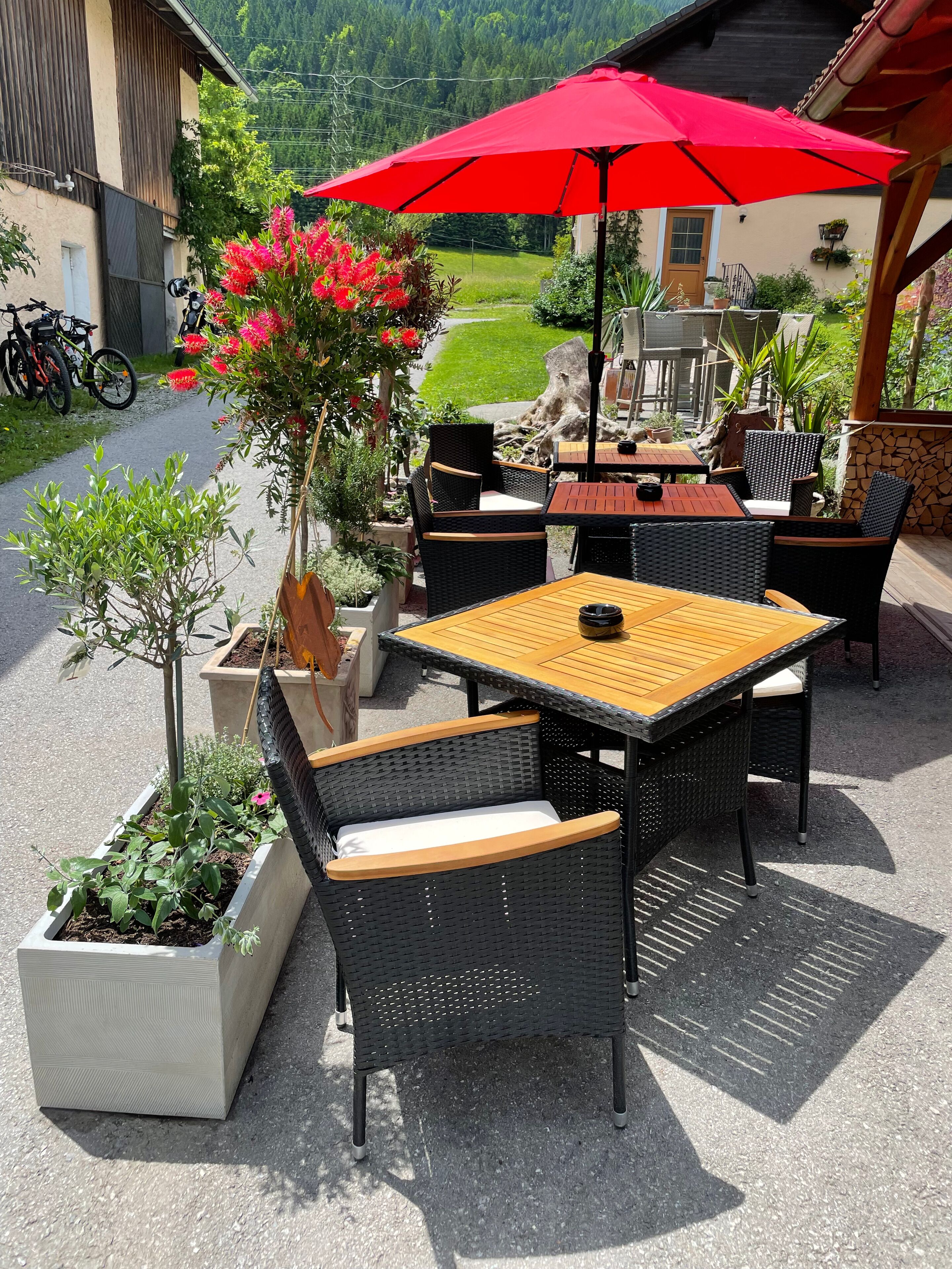 Serveert ontbijt, lunch, diner, internationale gerechten 