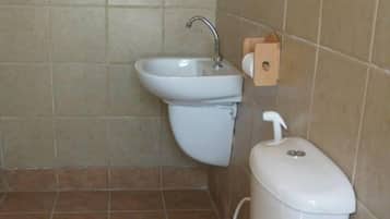 Shower, free toiletries, towels