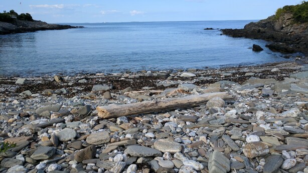 A rocky shoreline with a mix of smooth and jagged stones, a driftwood piece, and calm water.