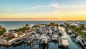 A marina with boats docked, surrounded by palm trees and buildings. - Penthouse Apartment Sunsets in Key Largo, Kawama Yacht Club Tower (Key Largo)