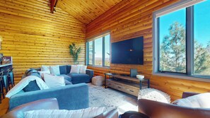 Smart-tv, pejs, dvd-afspiller