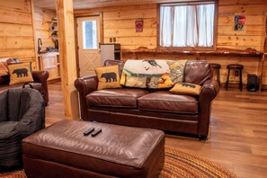 TV connectée, cheminée, jeux vidéo, lecteur de DVD