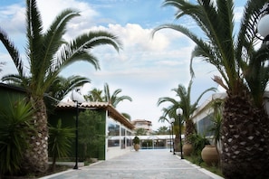 A pathway leading to a pool area surrounded by palm trees and a building with a tiled roof.