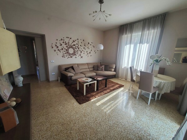 Télévision, lecteur de DVD, livres