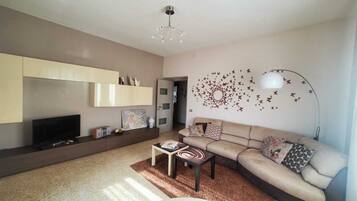 Fernseher, DVD-Player, Bücher