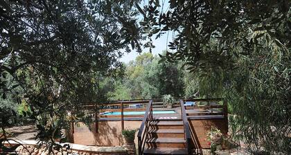 Villa Serena Maria - Marina Di F...