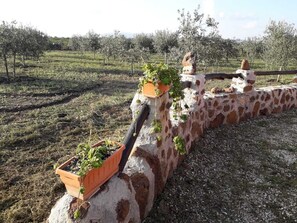 Property grounds - holiday home between sea and mountains (Sas Linnas Siccas)