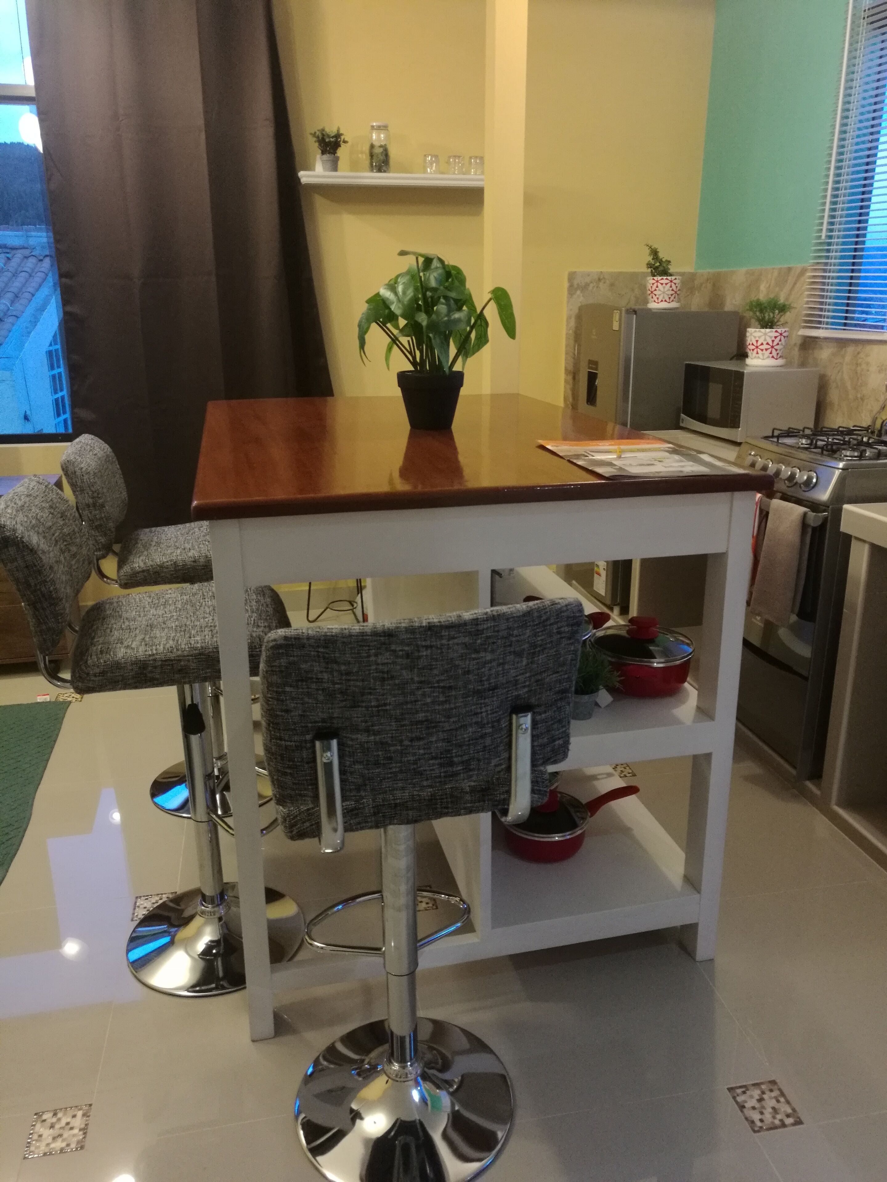 Fridge, microwave, oven, coffee/tea maker