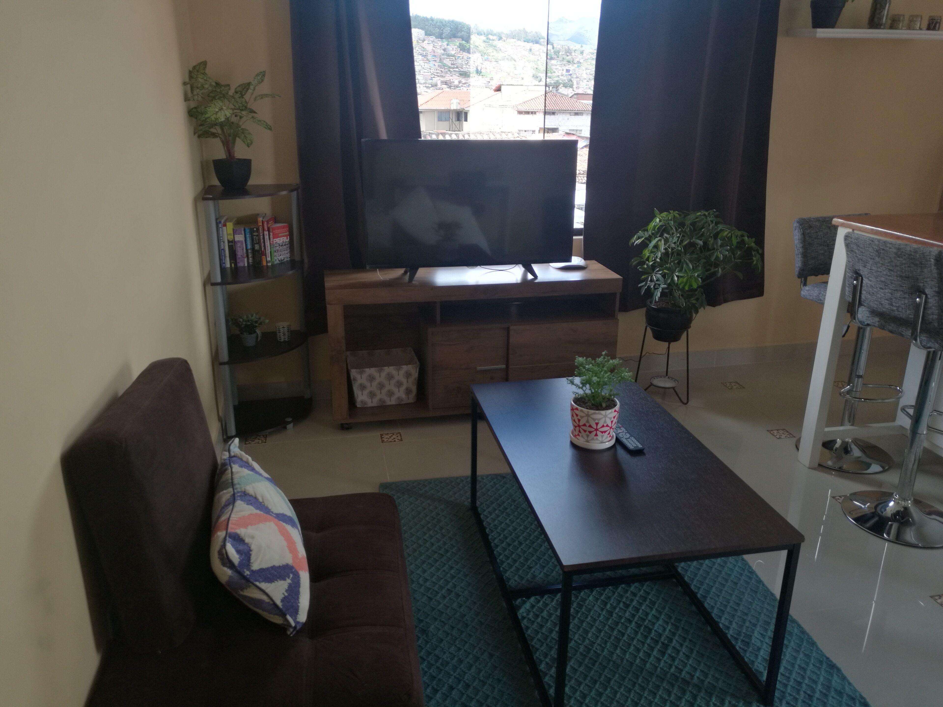 Télévision, livres